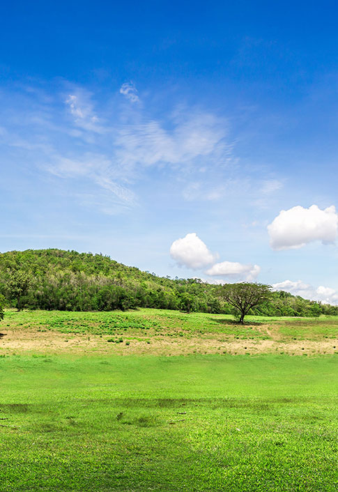 Land Only Properties for Sale